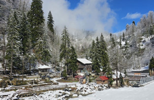Ayder Yaylası beyaza büründü