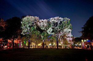 Cape Town'da Afrika'nın ilk büyük ölçekli ışık sanatı festivali