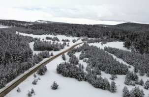 Sarıçam ormanlarının eşsiz manzarası görüntülendi