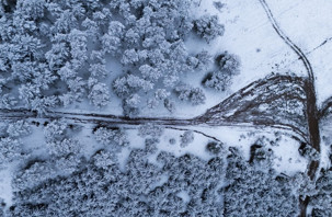 Bazı ormanlar Nisan ayında beyaza büründü