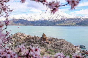 Akdamar Adası baharın renklerine büründü