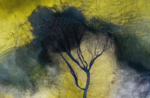 Düden Gölü’nde flamingoların dansı