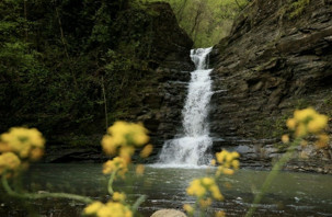 Kabaceviz Şelaleleri baharda yeniden canlandı
