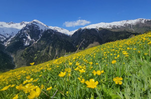 Kaçkar Dağları'nda bahar renkleri