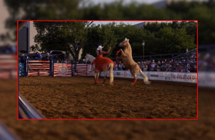 ABD'de renkli 'Büyük Amerikan Eyalet Panayırı ve Rodeo Festivali'