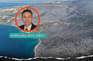 Vali Akbıyık: Milas'ta yanan alan yeniden orman olacak