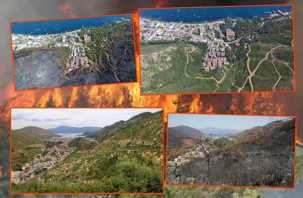 Muğla'da 2021'de yanan 52 bin hektar yeniden yeşerdi