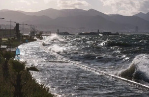 İstanbul dahil pek çok ile ağaç deviren fırtına uyarısı