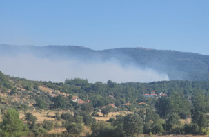 Muğla'da orman yangını yerleşim bölgelerine ulaştı