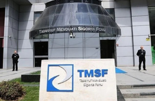 TMSF iki şirketi satışa çıkardı
