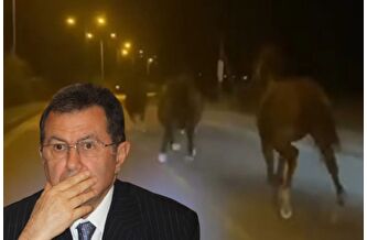 Mehmet Emin Karamehmet'in yarış atları çiftlikten kaçtı 