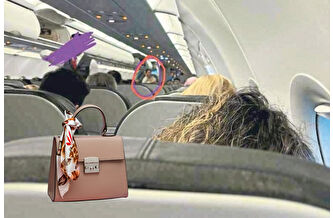 İş insanı ile hostesin uçakta kaybolan çanta davası