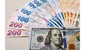 Hafta dolar artışı ile başladı, TL varlıklar baskılandı