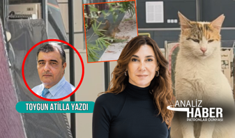 Bir sincap bir kedi ve bir patron
