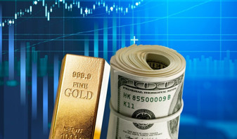 Yatırım araçlarında haftanın tek kazananı dolar