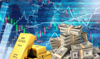 Bu haftanın tek kazandıran yatırım aracı dolar oldu