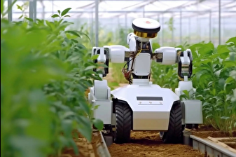 Yapay zeka tarıma da el atıyor, robot çiftçiler geliyor