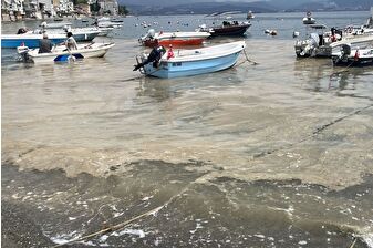 Marmara Denizi'nde Bursa kıyılarında müsilaj görüldü