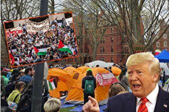 ABD Başkanı Donald Trump, Harvard Üniversitesinin uluslararası öğrenci kabulünü durdurdu