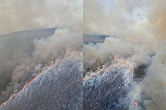 İzmir Foça'da korkutan yangına havadan karadan müdahale