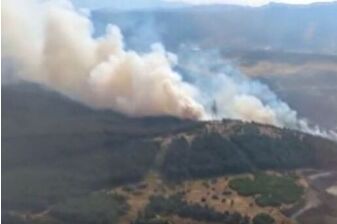 İzmir'in Aliağa ilçesinde ormanlık alanda yangın çıktı