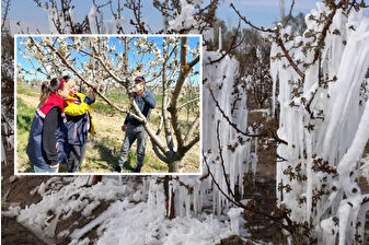 Zirai donun vurduğu 13 ilde çiftçi tazminat talebiyle sahada: Meclis Araştırma Komisyonu’nun tespit ve tavsiyeleri