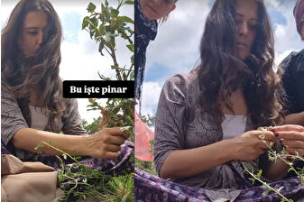 Elif Boyner'in köyde bitki toplama mesaisi