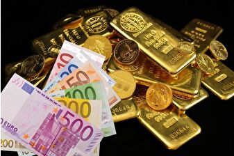 Bu hafta yatırım araçlarından en çok kazandıran altın ve euro oldu