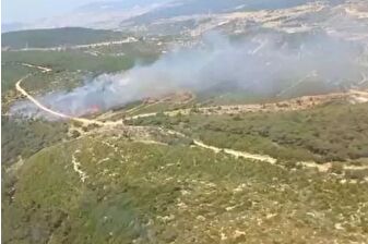Foça'da orman yangınına 4 uçakla müdahale