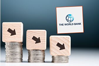 Gelişmekte olan ekonomilere yabancı yatırımlar son 20 yılın en düşük seviyesinde