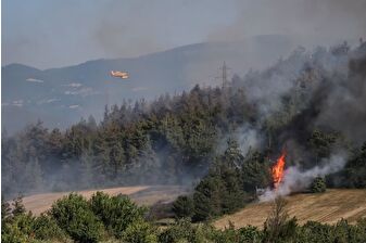 Bursa'nın Orhaneli ilçesinde orman yangını çıktı, bir mahalle tahliye edildi