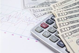 Özel sektörün yurt dışı kredi borcu yıl sonuna göre artış gösterdi ve 186 milyar dolara yaklaştı