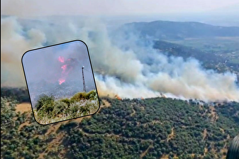 Söke'de alarma geçiren yangın
