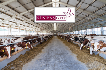Sinpaş GYO, iştirakini sattı