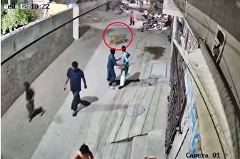 Sokakta aslan dehşeti: 3 yaralı var