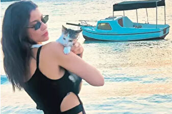 Kedi yüzünden CİMER’e şikayet edildi