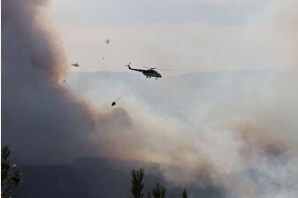 Tekirdağ'da orman yangını çıktı, bazı evler boşaltıldı