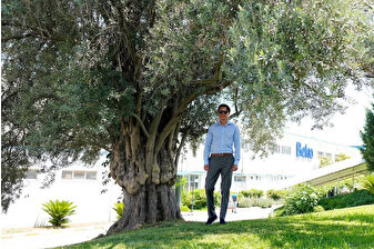 Hakan Bulgurlu fabrikadaki 300 yıllık zeytinin hikayesini anlattı