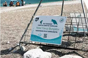 Çıralı’daki turizm işletmeleri, nesli tehlike altındaki 118 caretta caretta yuvasını evlat edinerek koruma altına aldı