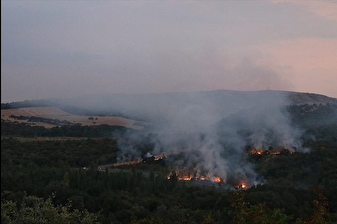 Bulgaristan'daki orman yangınının koku ve dumanı 50 kilometre uzaklıktaki Edirne'ye ulaştı