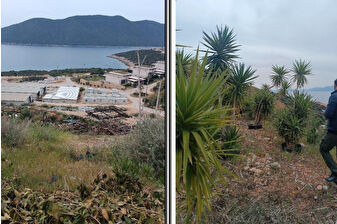 Bodrum'da yapılması planlanan 100 ve 60 oda kapasiteli 2 ayrı projeye 'ÇED Olumlu' kararı verildi