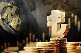 Merkez Bankası'nın toplam rezervleri 174 milyar 365 milyon dolara çıkarak rekor kırdı