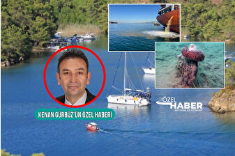 Türkiye'nin cennet denizleri, deniz araçlarına atık emisyon denetimi olmadığından büyük bir kirlilik tehdidi altında