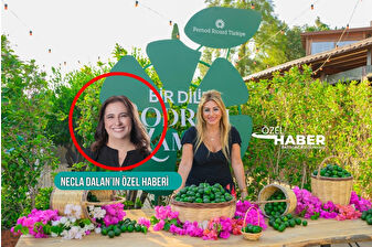 En hızlı Türkiye’de büyüyen Pernod Ricard, Bodrum Mandalini’ni önce İstanbul’a ardından dünyaya taşıyacak