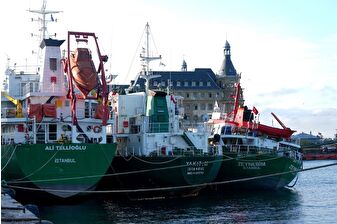 Haydarpaşa Limanı'nda gemi yangını