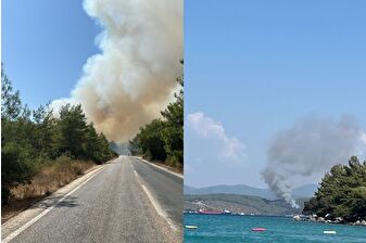 Bodrum'da orman yangını başladı: Bölgeye çok sayıda itfaiye ve ormana ait arazöz sevk edildi