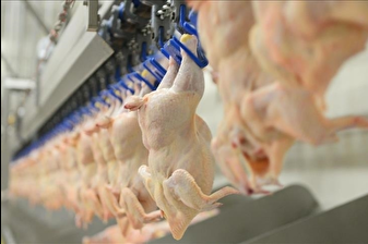 Beyaz et sektöründeki firmalara ilişkin rekabet soruşturmasında sözlü savunma toplantısı yapıldı