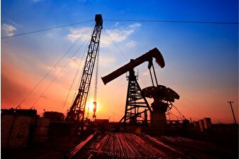 Petrol hakkına müteallik karar