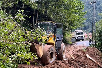 Trabzon'da etkili yağış nedeniyle dört ilçede heyelan ve su taşkınları yaşandı