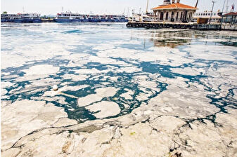Müsilaj görülen illerdeki balıkçılara ilave ödeme yapılacağı duyuruldu